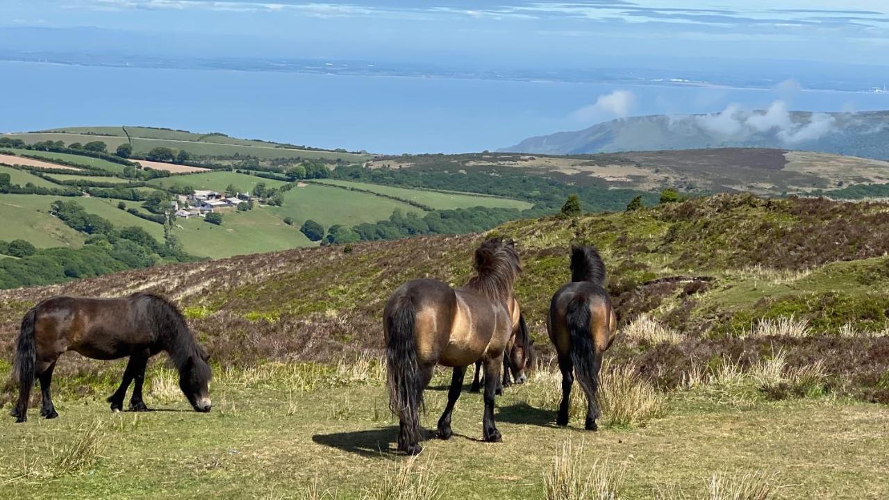 Exmoor Retreat On Two Moors Way Withypool Kültér fotó