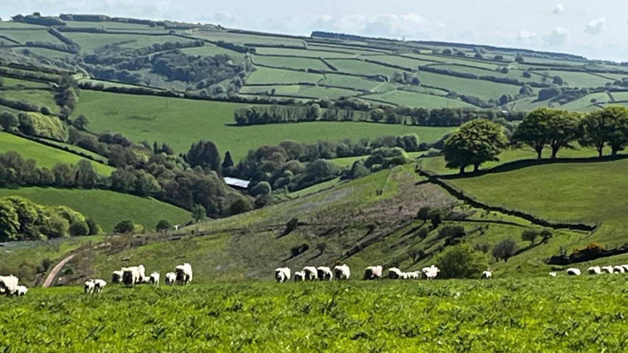 Exmoor Retreat On Two Moors Way Withypool Kültér fotó