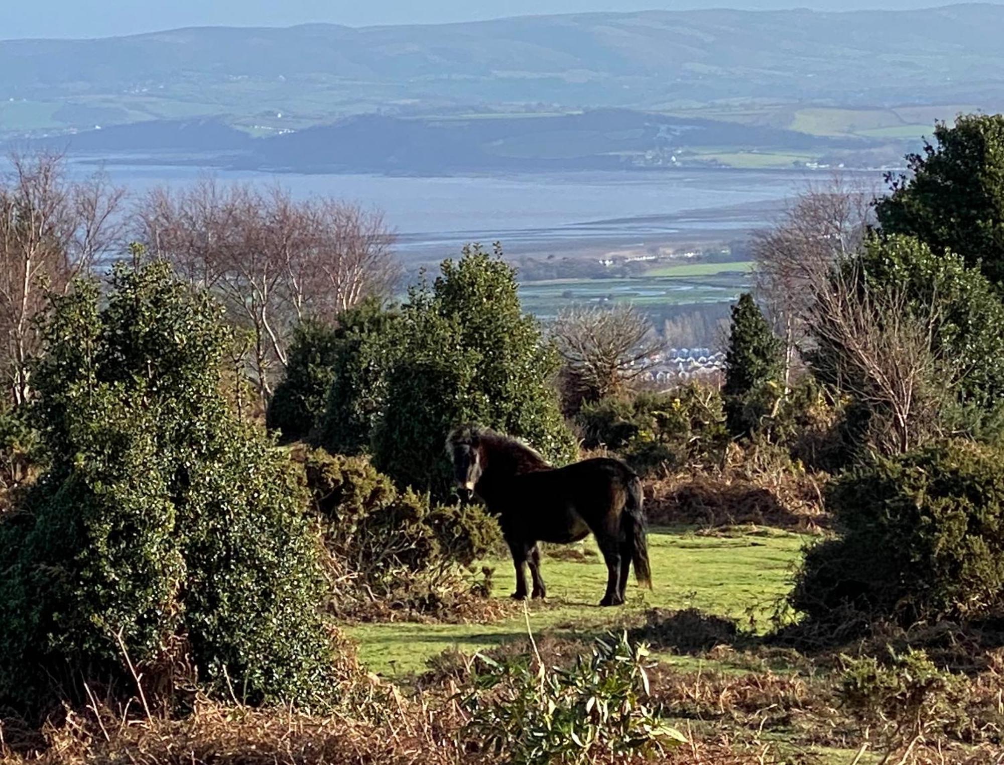 Exmoor Retreat On Two Moors Way Withypool Kültér fotó