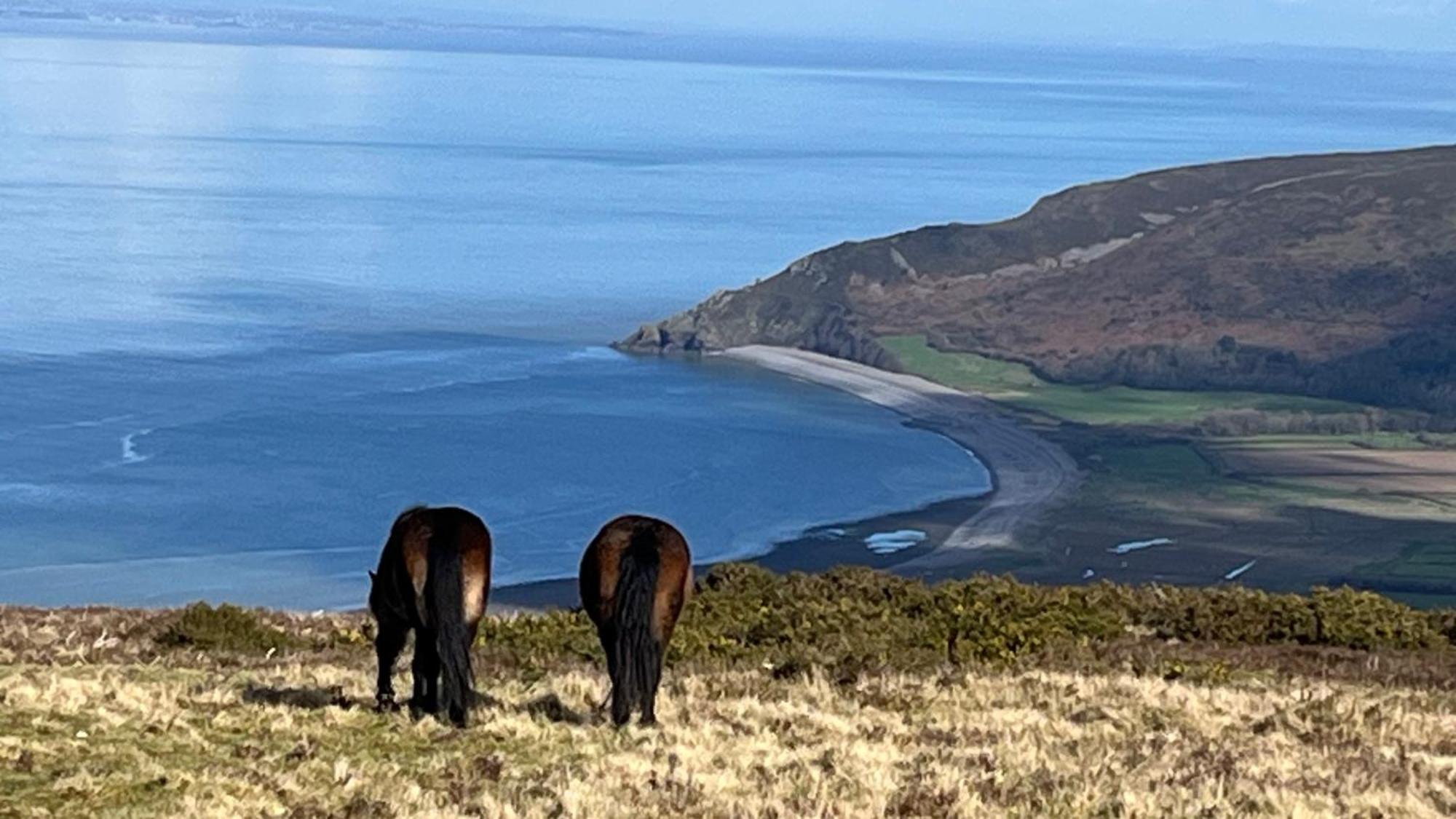 Exmoor Retreat On Two Moors Way Withypool Kültér fotó