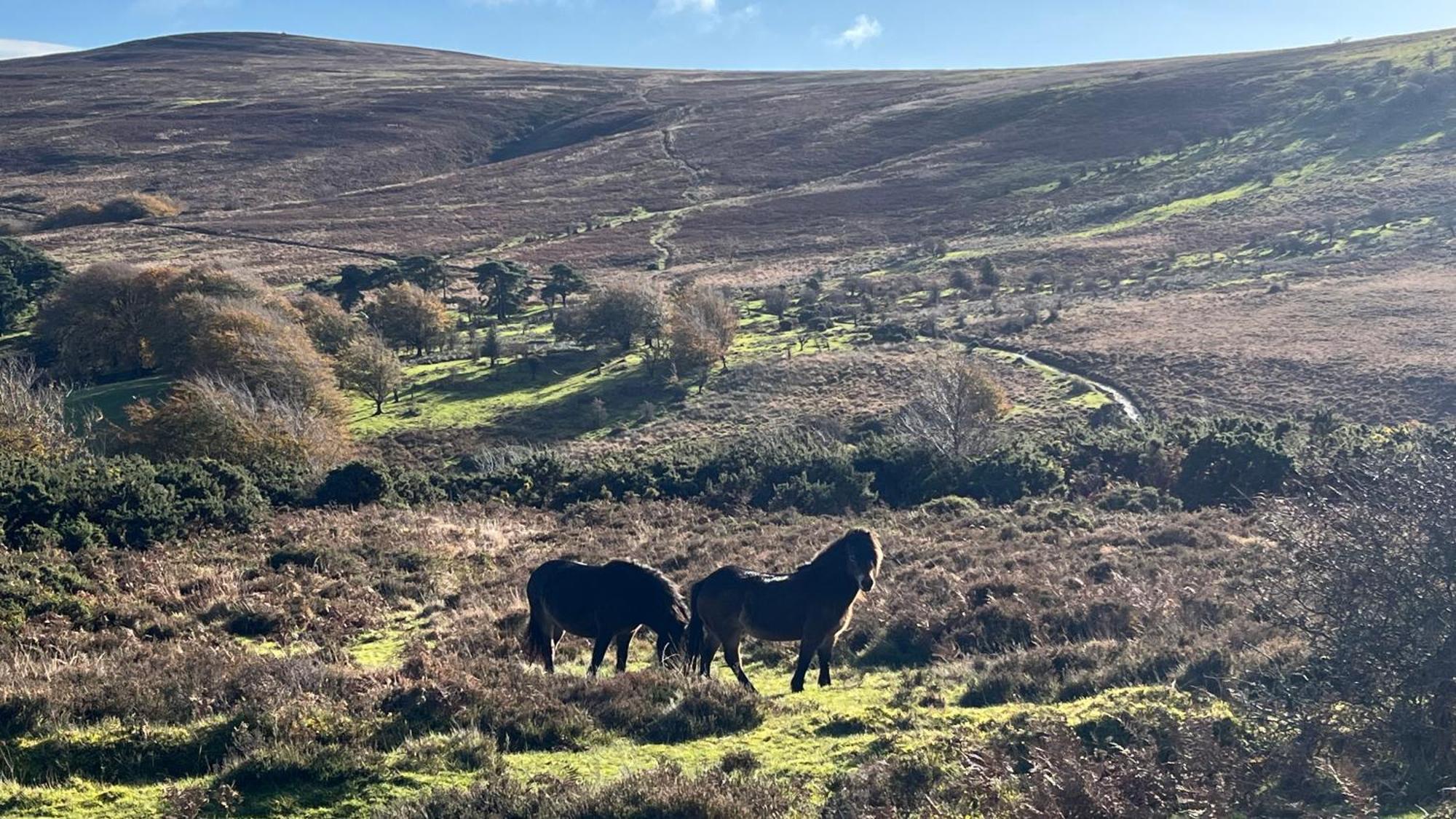 Exmoor Retreat On Two Moors Way Withypool Kültér fotó